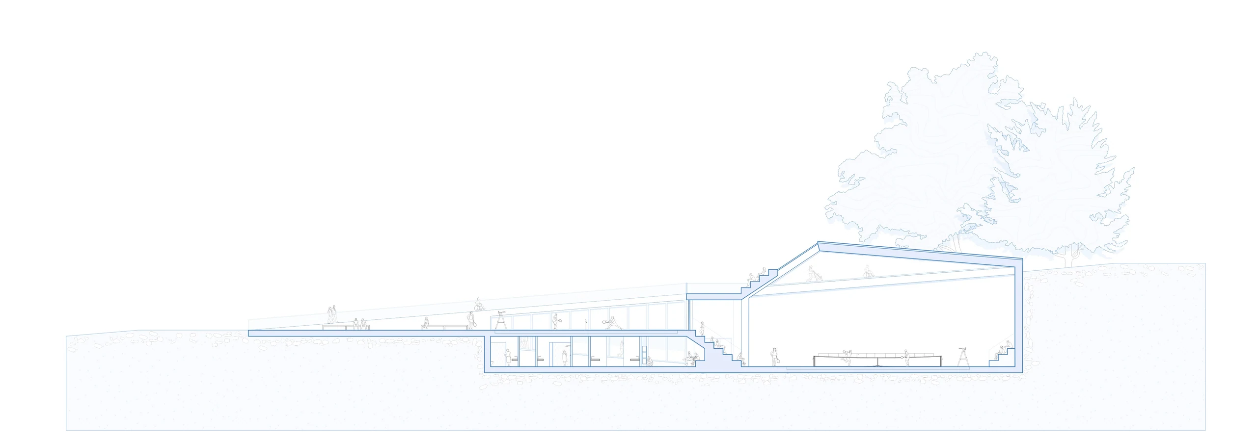Section Drawing